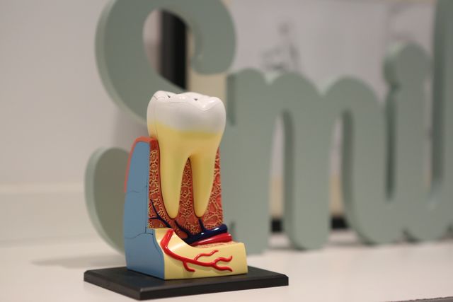 Discover the Truth About Root Canal Treatment: Your Path to Pain Free Smiles